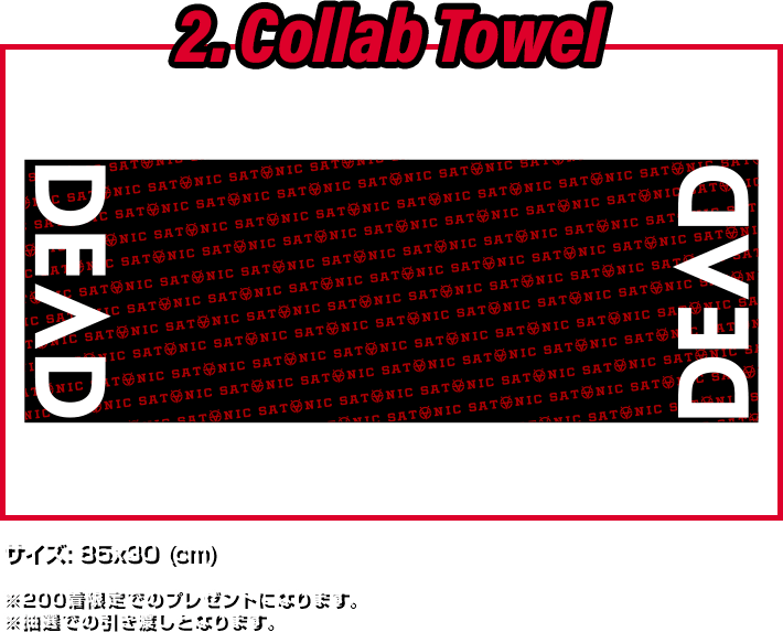 2. Collaboration Towel サイズ: 85x30 (cm) ※200着限定でのプレゼントになります。※抽選での引き渡しとなります。