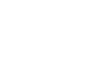 AMERICAN SOCKS
